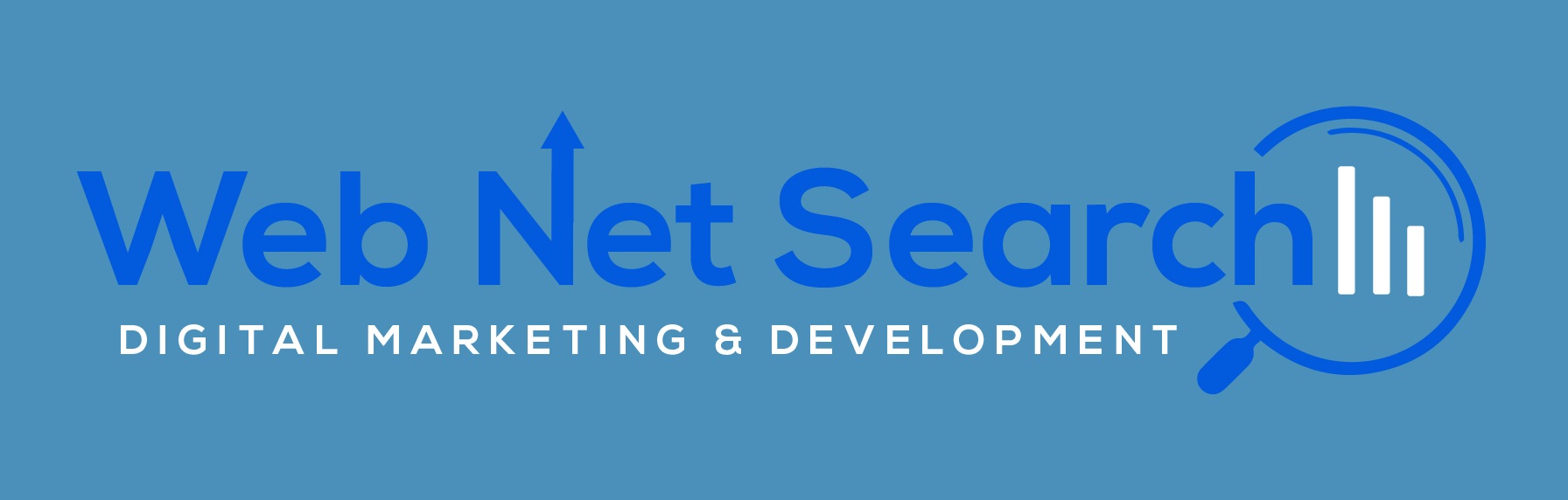 web Net Search